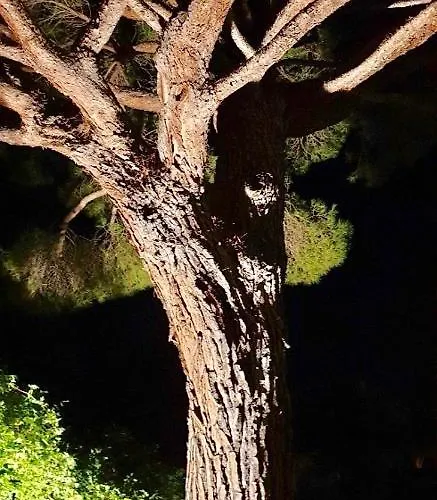 Apartamento Villarama