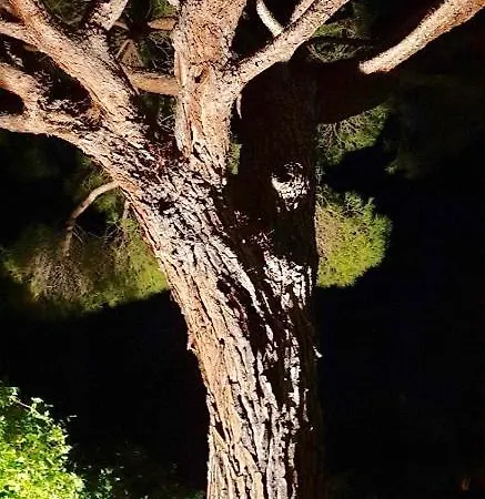 Appartement Villarama